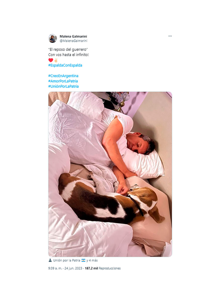 Sergio Massa durmiendo junto a su perro "Patán".